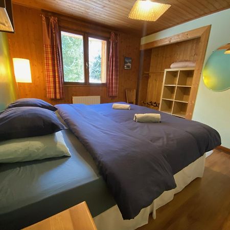 B&B Chalet Les Frenes Chamonix Kültér fotó
